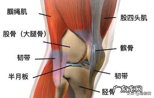 跳绳和跑步一段时间,也控制饮食,但就是减不下来怎么回事?