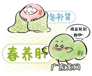 如何养肝，春季养肝的四大方法，快来学一学。