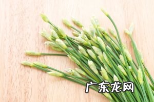 初春早餐该吃什么,养肝祛湿又通便、春困也赶跑!第一样奥运冠军谷爱凌也爱吃