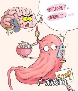 胃,真会越撑越大,越饿越小吗?