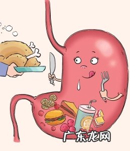 胃,真会越撑越大,越饿越小吗?