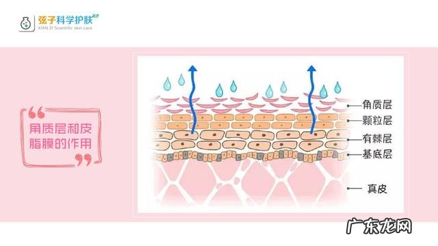 肌肤屏障受损该如何修复呢?