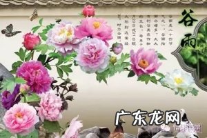 谷雨是什么意思,谷雨的含义