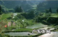 关于谷雨的古诗