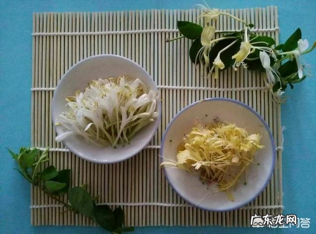 用枸杞泡水喝对身体有什么好处?