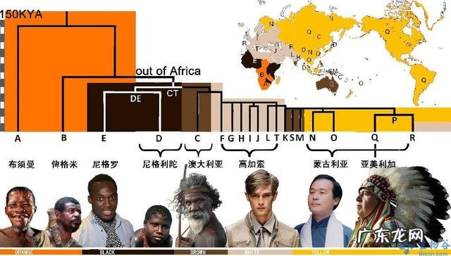 中国历史上的“昆仑奴”是非洲来的黑奴吗?