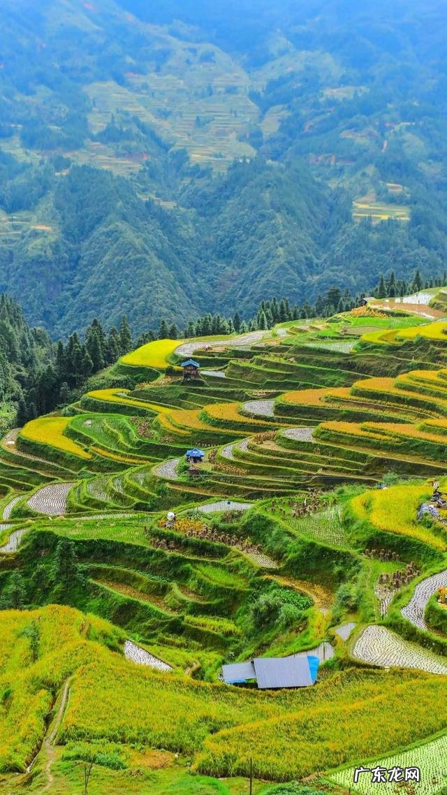 喝茶有什么用?喝什么茶好呢? 喜欢喝茶喝什么茶最好