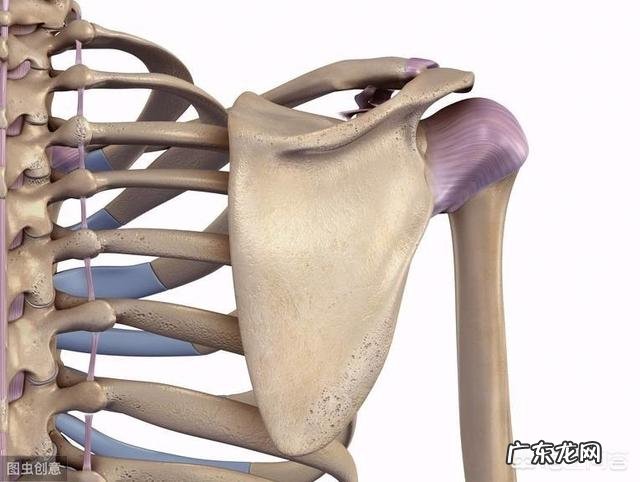 斜方肌大,溜肩怎么改善?