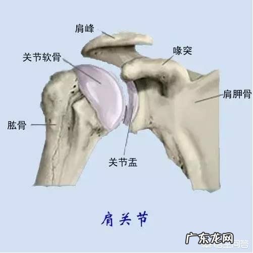 斜方肌大,溜肩怎么改善?