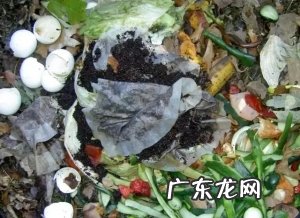 5个养花避坑小知识,养花少踩坑,园艺新手多注意了