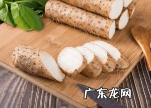 春天喝什么汤比较好?春季喝什么汤养脾胃?