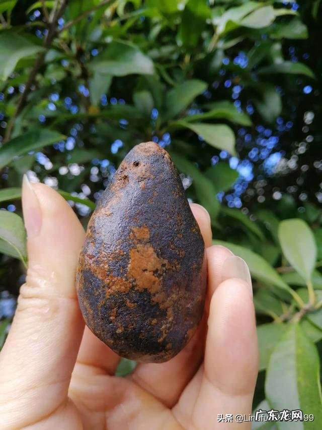 什么是天然奇石?天然奇石必须具备什么条件?