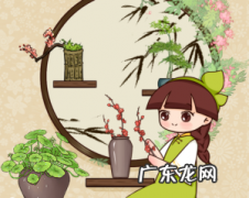 家里不同的位置适合养的花，养错或影响风水