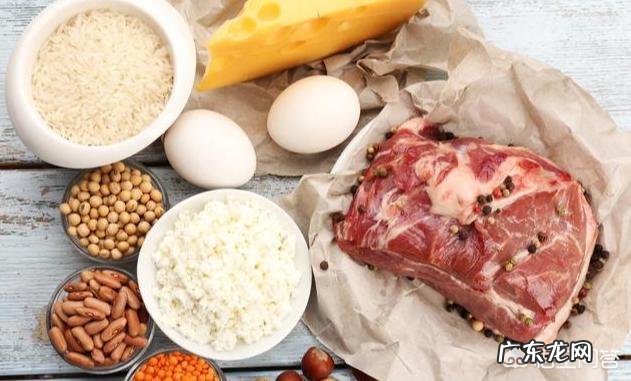 肥胖减脂是否需要补充蛋白质?