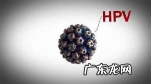感染HPV是什么疾病?该怎么办?