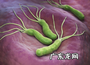 幽门螺杆菌患者有什么身体表现?