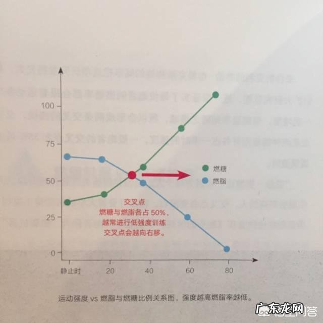 如何制定一份完美的减脂力量训练计划
