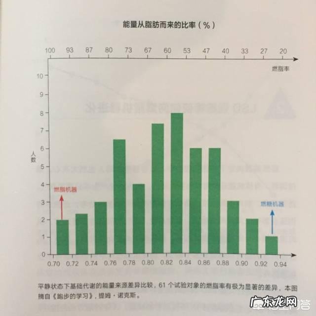 如何制定一份完美的减脂力量训练计划