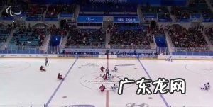 [冬残奥科普]走进冬残奥会-残奥冰球