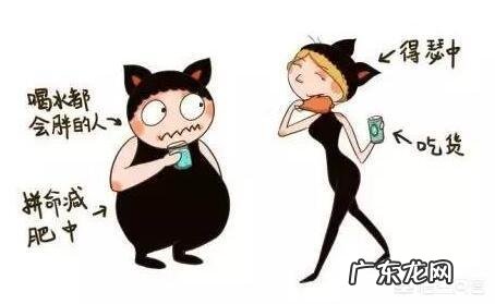 为什么很多巨能吃的人都是瘦子,反而很多食量不多的人会胖?