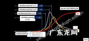 “HIV抗体阴性”多久能排除感染?恐艾者窗口期的焦虑
