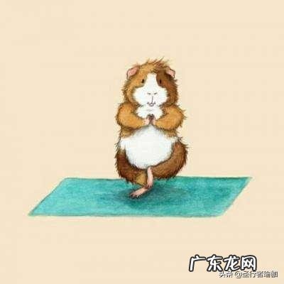 压缩袜有什么用?练瑜伽可以穿吗?