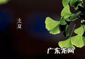 立夏后的养生法