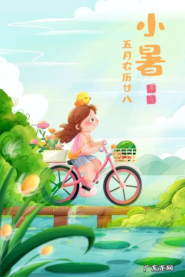 小暑是什么节气?小暑节气话养生