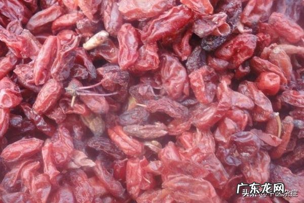 生黄芪、熟地黄、山萸肉有什么功效作用?