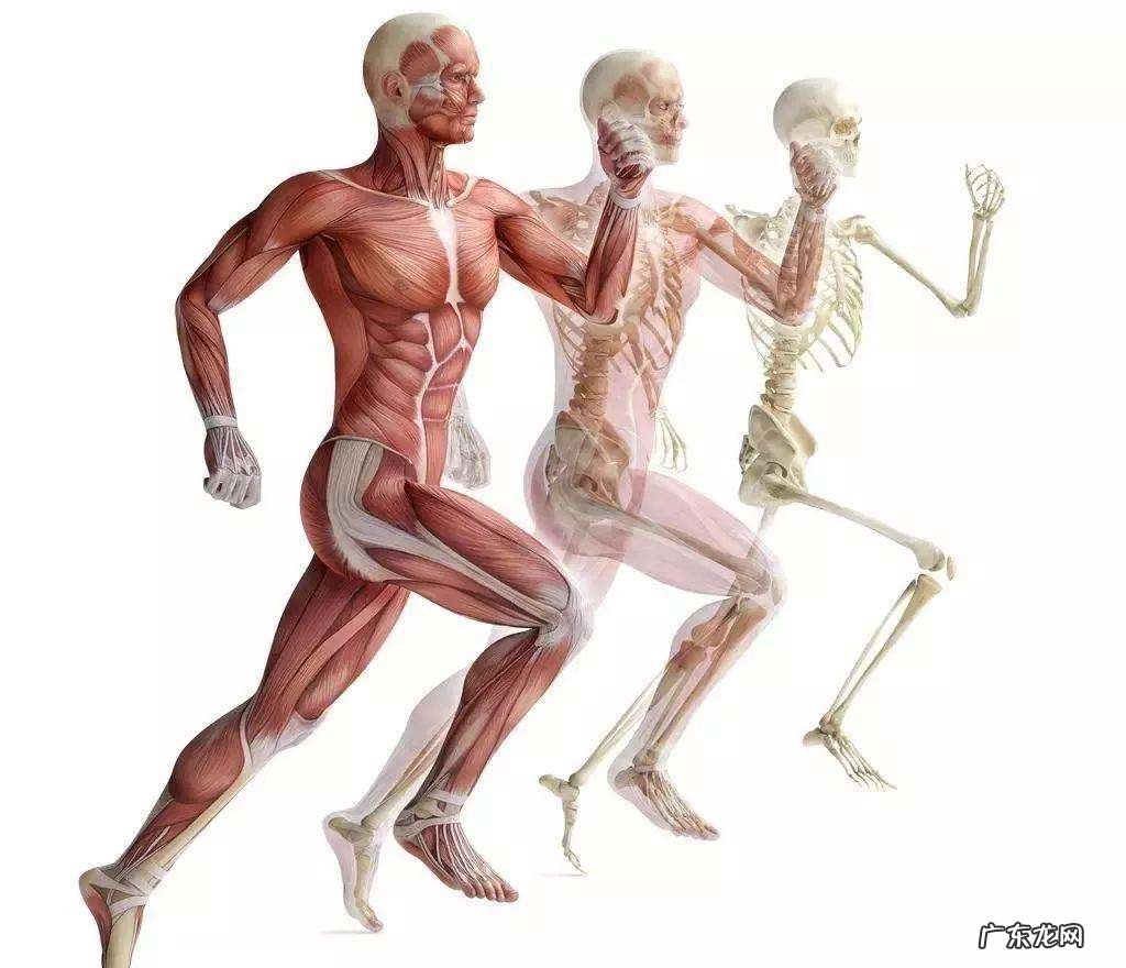 《人体器官衰老时间表》别等坏了再去养!送你一套全身保鲜秘诀~