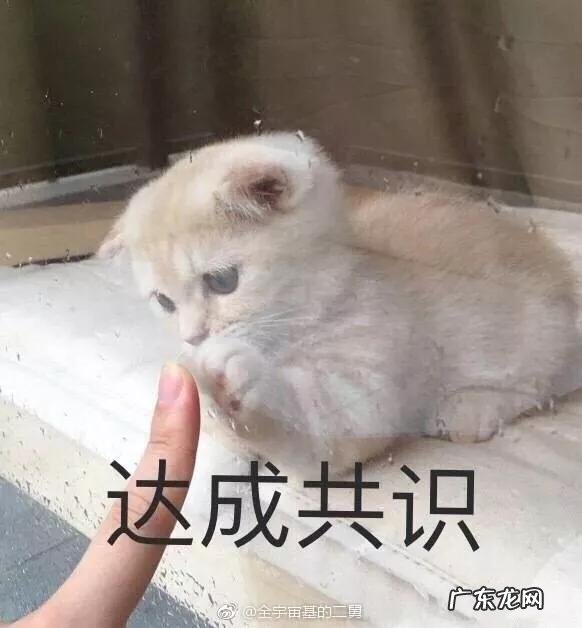 为什么每天坚持锻炼两个小时,体重变化不大,但是腰围却小了?