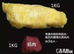 为什么每天坚持锻炼两个小时，体重变化不大，但是腰围却小了？