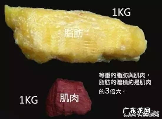 为什么每天坚持锻炼两个小时,体重变化不大,但是腰围却小了?