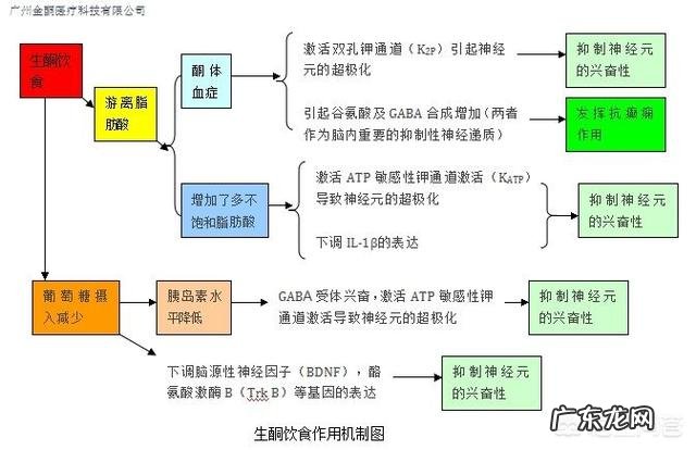 为什么减肥期间要测尿酮？