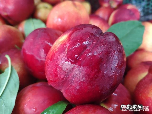 你觉得把民间中医发展起来,对看病难,看病贵,有帮助吗?