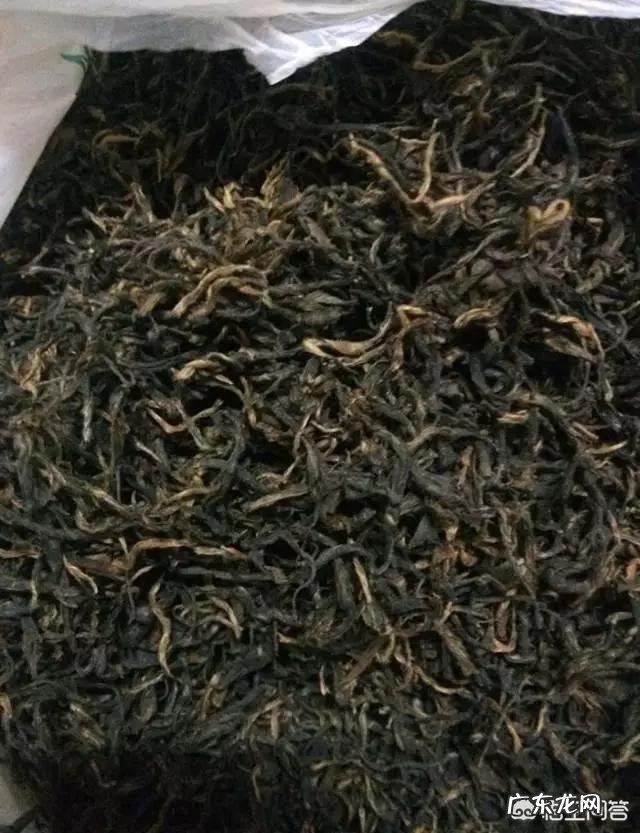 放置了超过十年的绿茶还能喝吗？