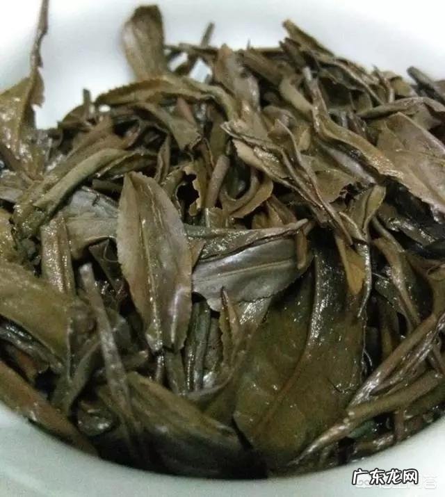 放置了超过十年的绿茶还能喝吗？