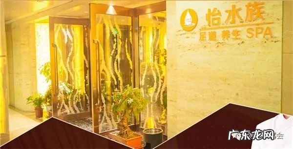 中医养生品牌:养生馆加盟品牌前十名 中医养生馆加盟排行榜