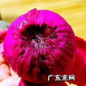 紫色火龙果的营养价值如何?