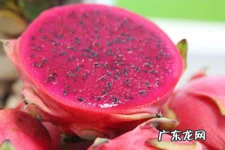 紫色火龙果的营养价值如何?