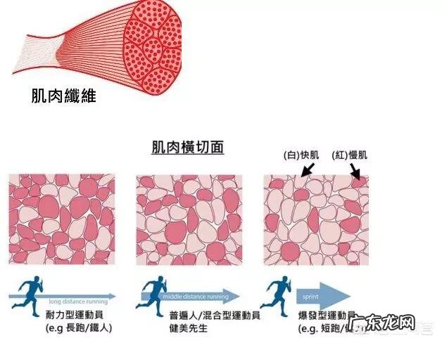 为什么读书的时候吃多少都不会胖,上班后却连喝水都会胖?