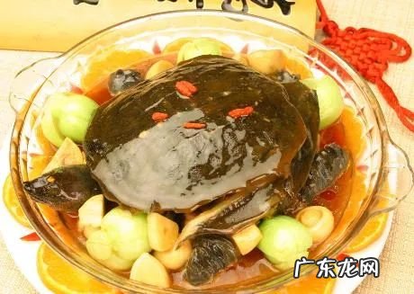 甲鱼的营养价值-功效与作用禁忌