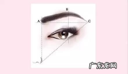 眉毛的生长特性