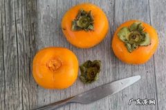 柿子里含有什么酸-吃柿子的注意事项