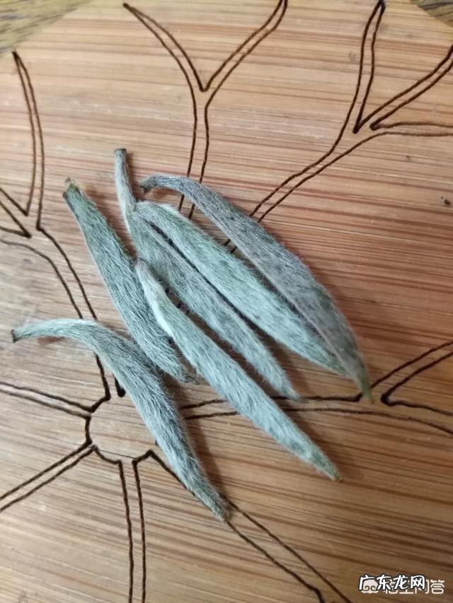 为什么茶叶泡得竖起来就是好茶叶?