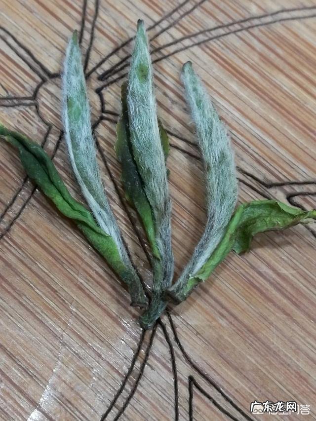 为什么茶叶泡得竖起来就是好茶叶?