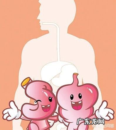 长期肠胃不好,身体消瘦,怎么调理?