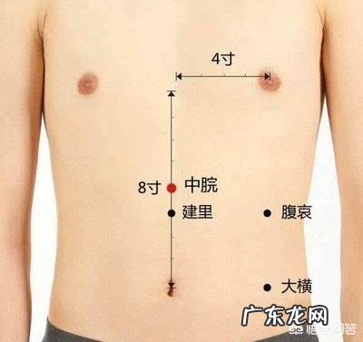 长期肠胃不好,身体消瘦,怎么调理?