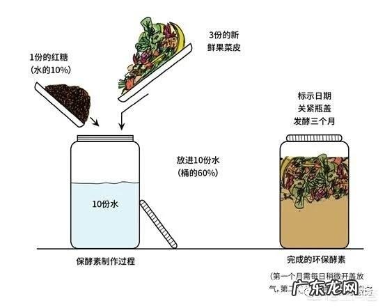 水果酵素怎么样?怎么用?