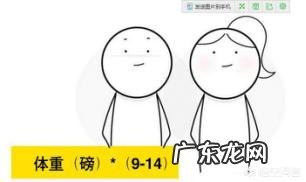 为什么有些女人减肥总是不成功?